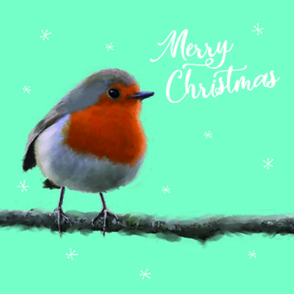 Robin Redbreast.jpg