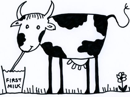 first milk study pic.jpg