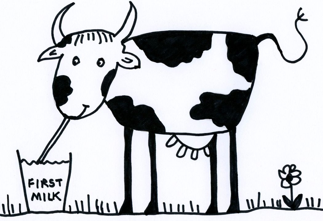 first milk study pic.jpg