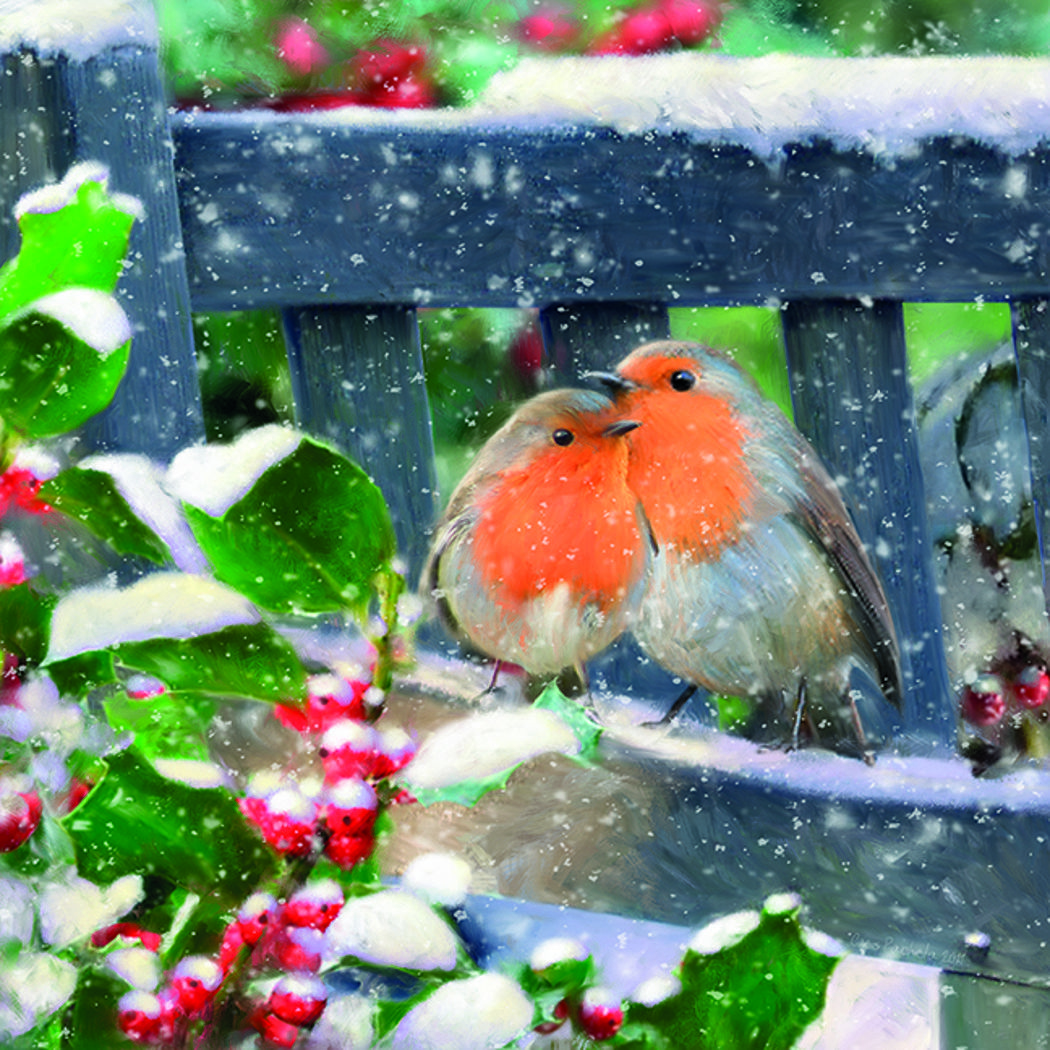 Snowy Robins.jpg