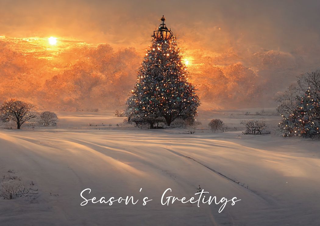 Winter Lights.jpg