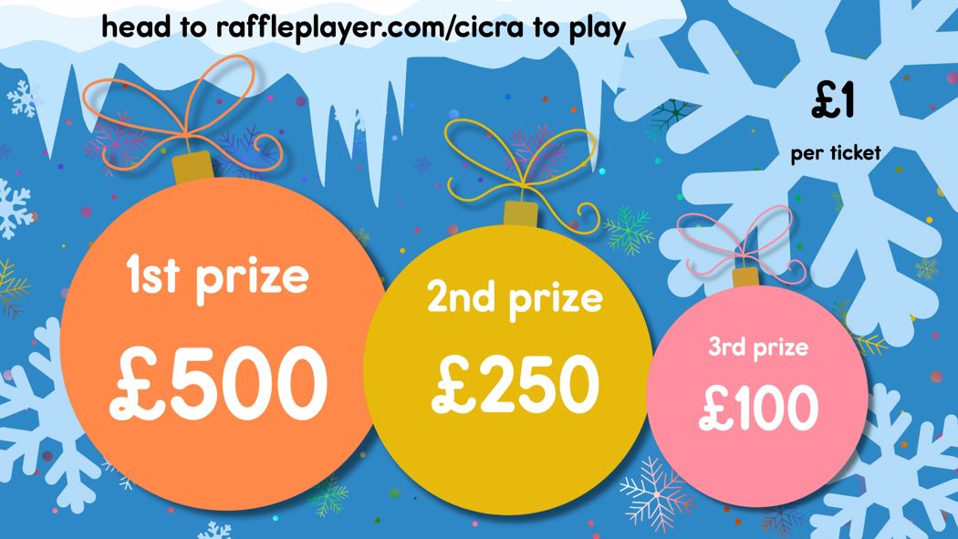 Christmas Raffle Launch Website Picture (2)