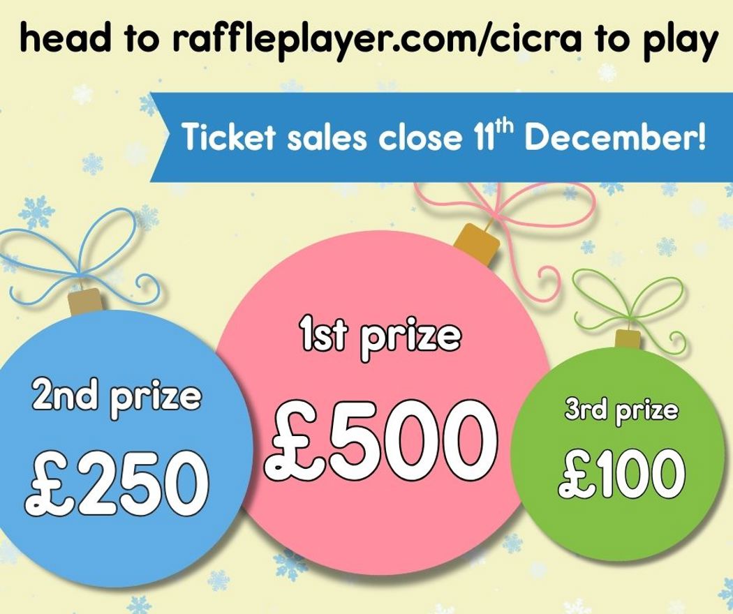 christmas draw banner photo